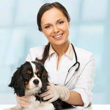 Dr. Smith